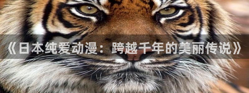 acg动漫.